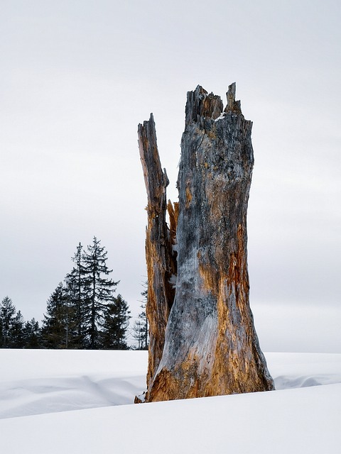 driver preparing winter start with minimal accessories and battery maintainer nearby